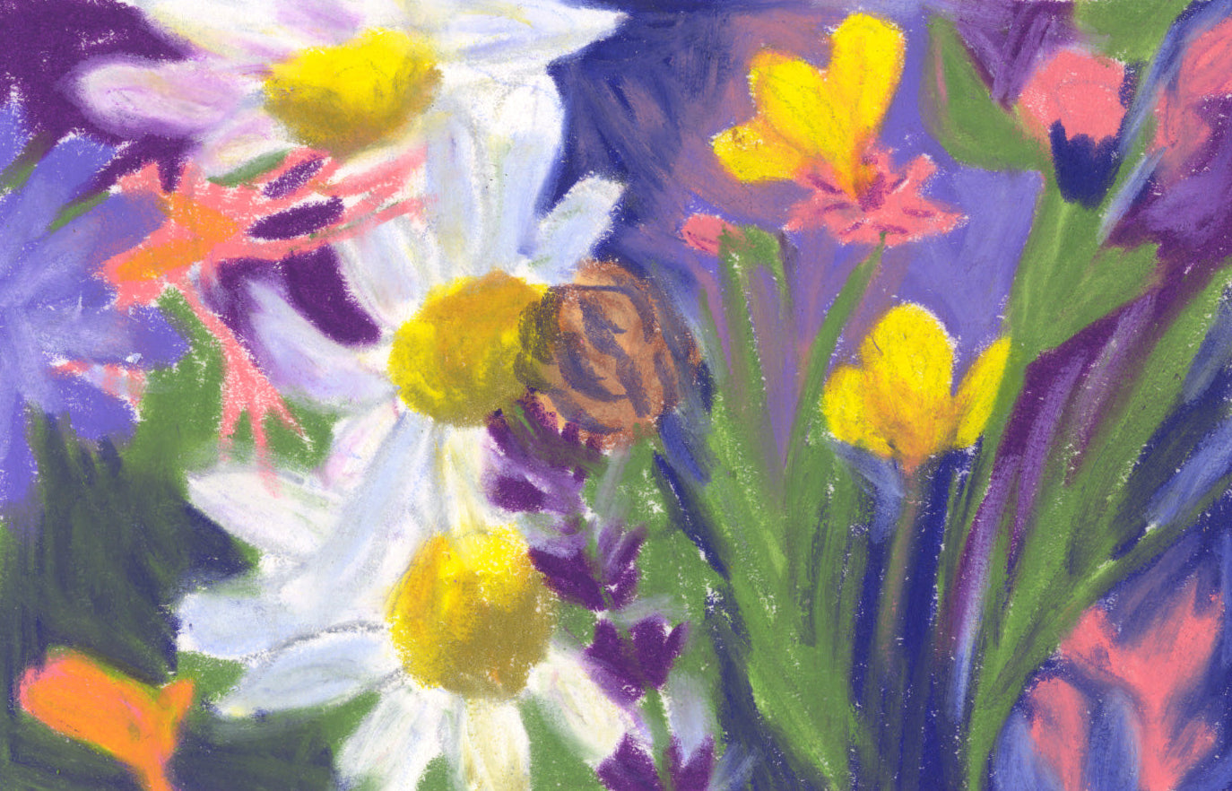 Fleurs des prés