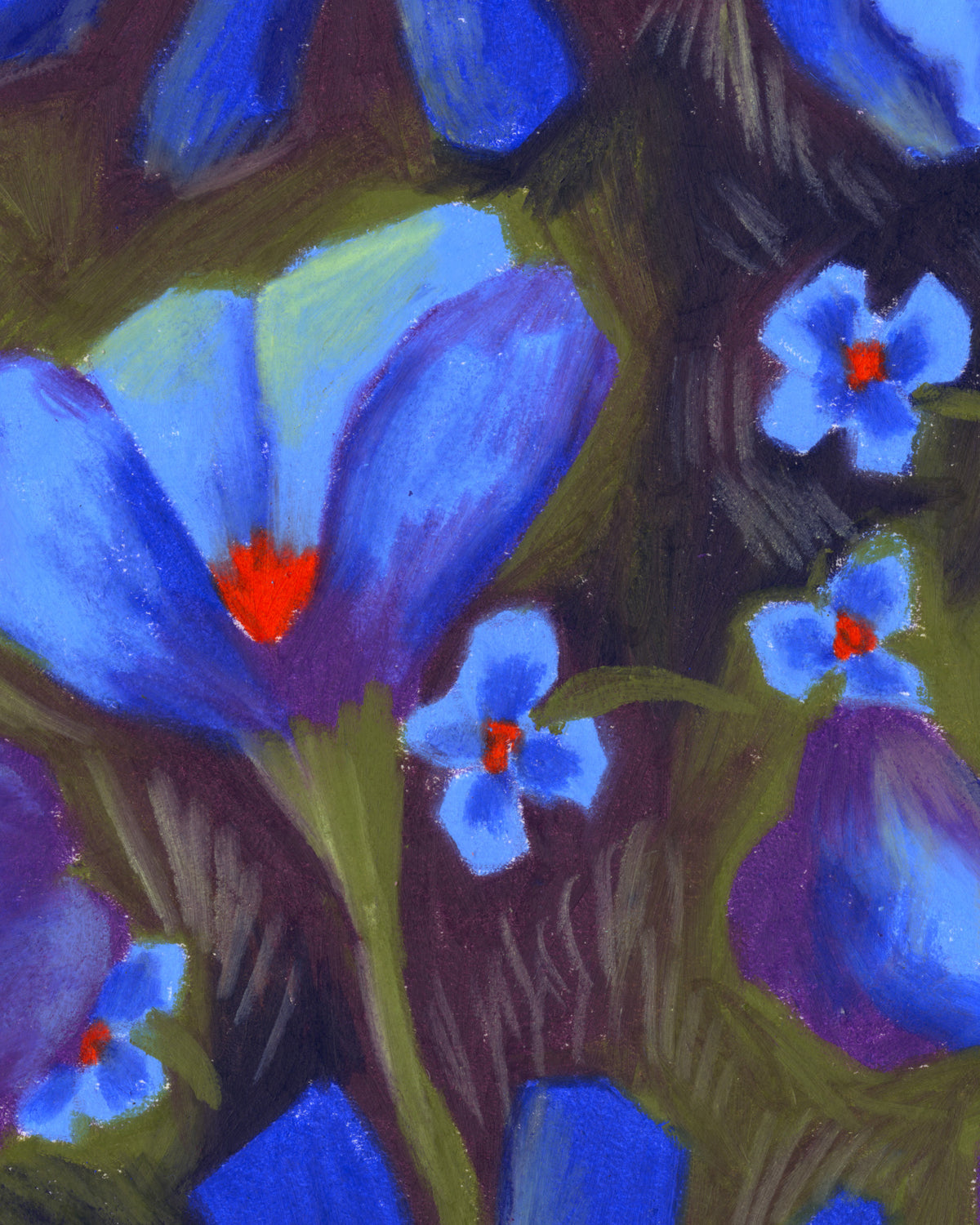 Fleurs nocturnes