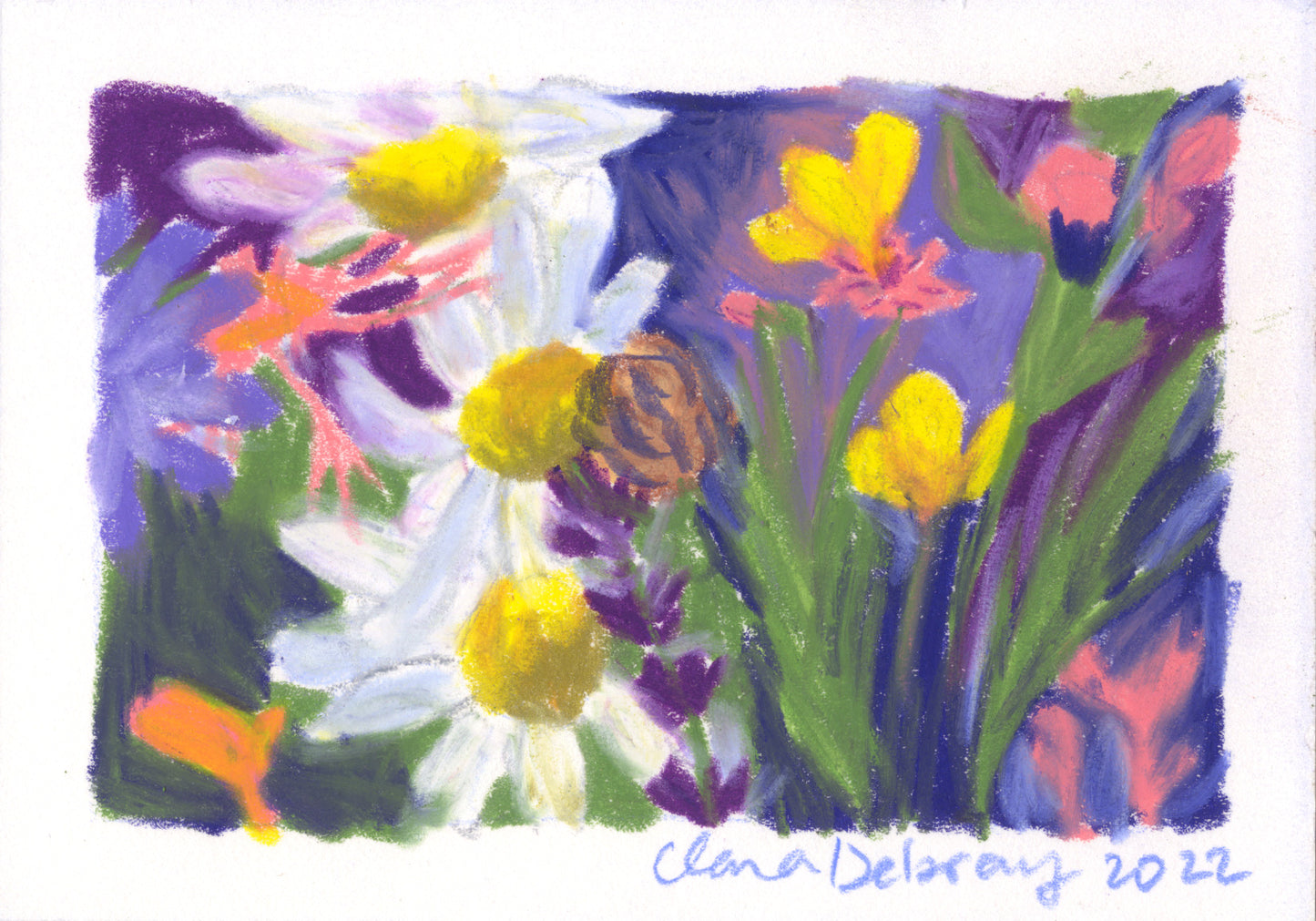 Fleurs des prés