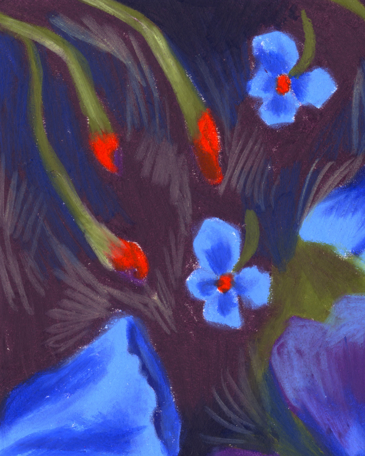 Fleurs nocturnes