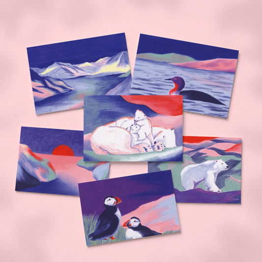 Lots de 6 cartes postales aléatoires GRAND NORD